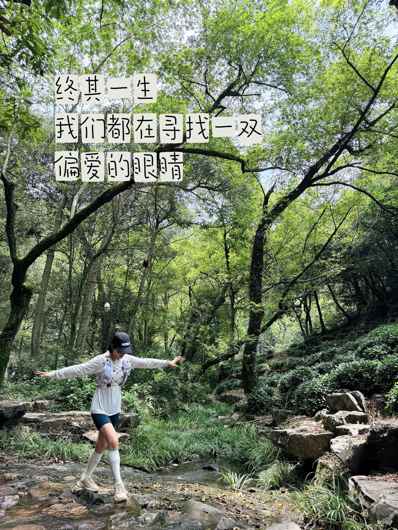 陈奕迅 可一可再 绿色 户外 可颂活动