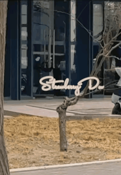 一觉醒来，莎莎低着头，跟着马琳指导备战亚洲杯，两个人没有互动。有网友问，莎莎的主