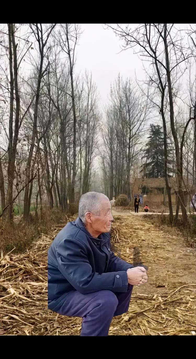 这就是生我的地方 老家的记忆此生难忘 记录家乡美景 一首梦回老家勾起多少游子的思