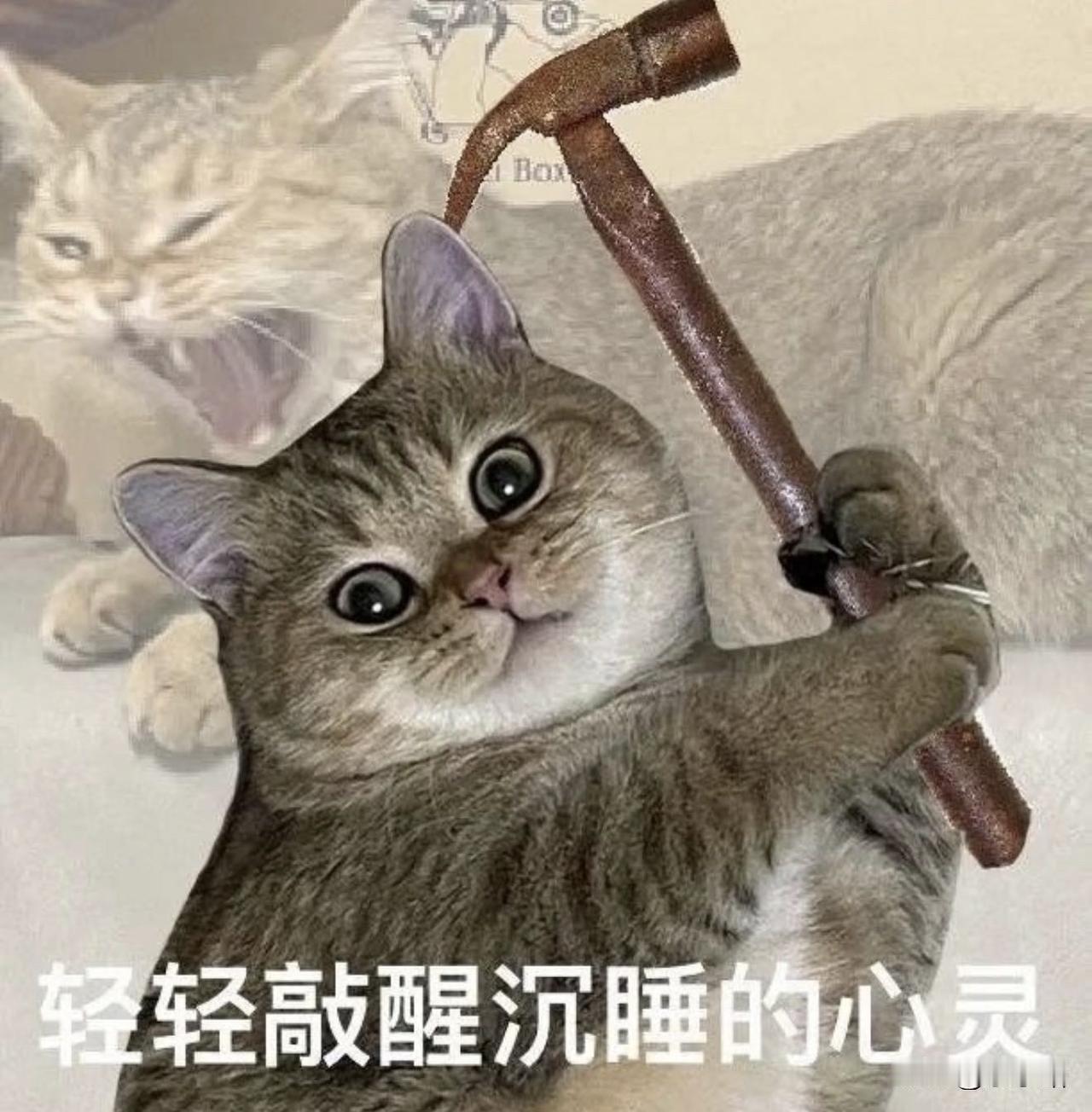 不知何故，我最近买买买的心，又有冒头之势。忽然想起，有个老头说，一到春天，他就做