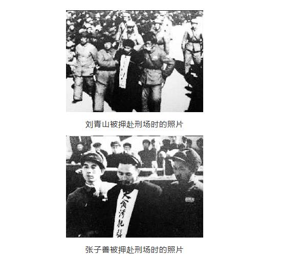 1951年，毛主席对着前来为“贪腐171.6亿”的刘青山和张子善求情的领导人说道
