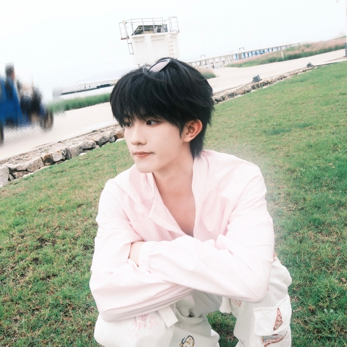 【5171】阳光草地和小狗🐾 