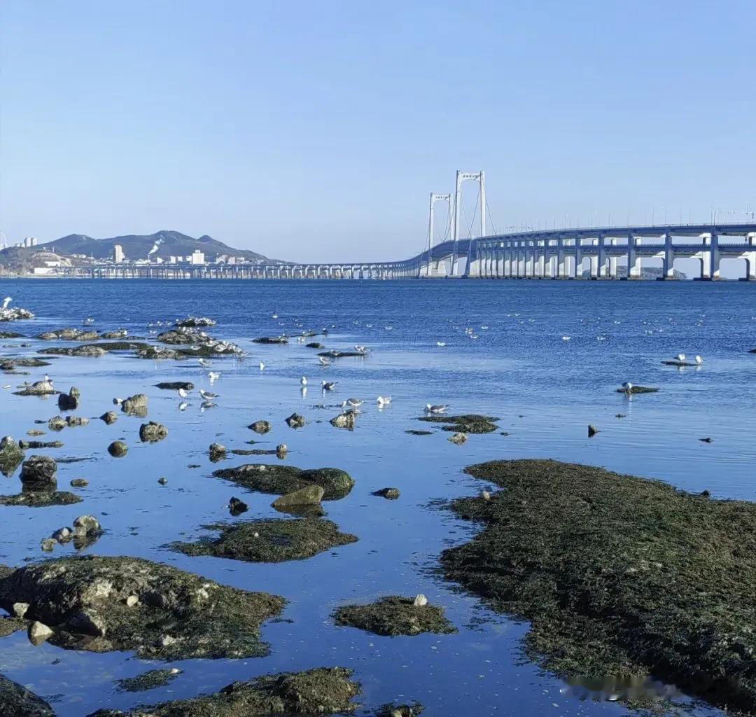 奔赴那一片
湛蓝大海的邀约
我又一次站在
家乡的海边
心中的潮汐
澎湃着对海的深