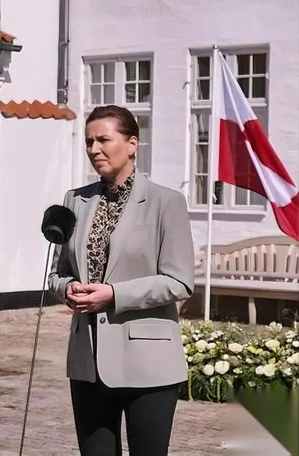 终于看懂了。

她不是在发疯。

格陵兰岛这块冻土，才是丹麦首相深夜失眠的开关；