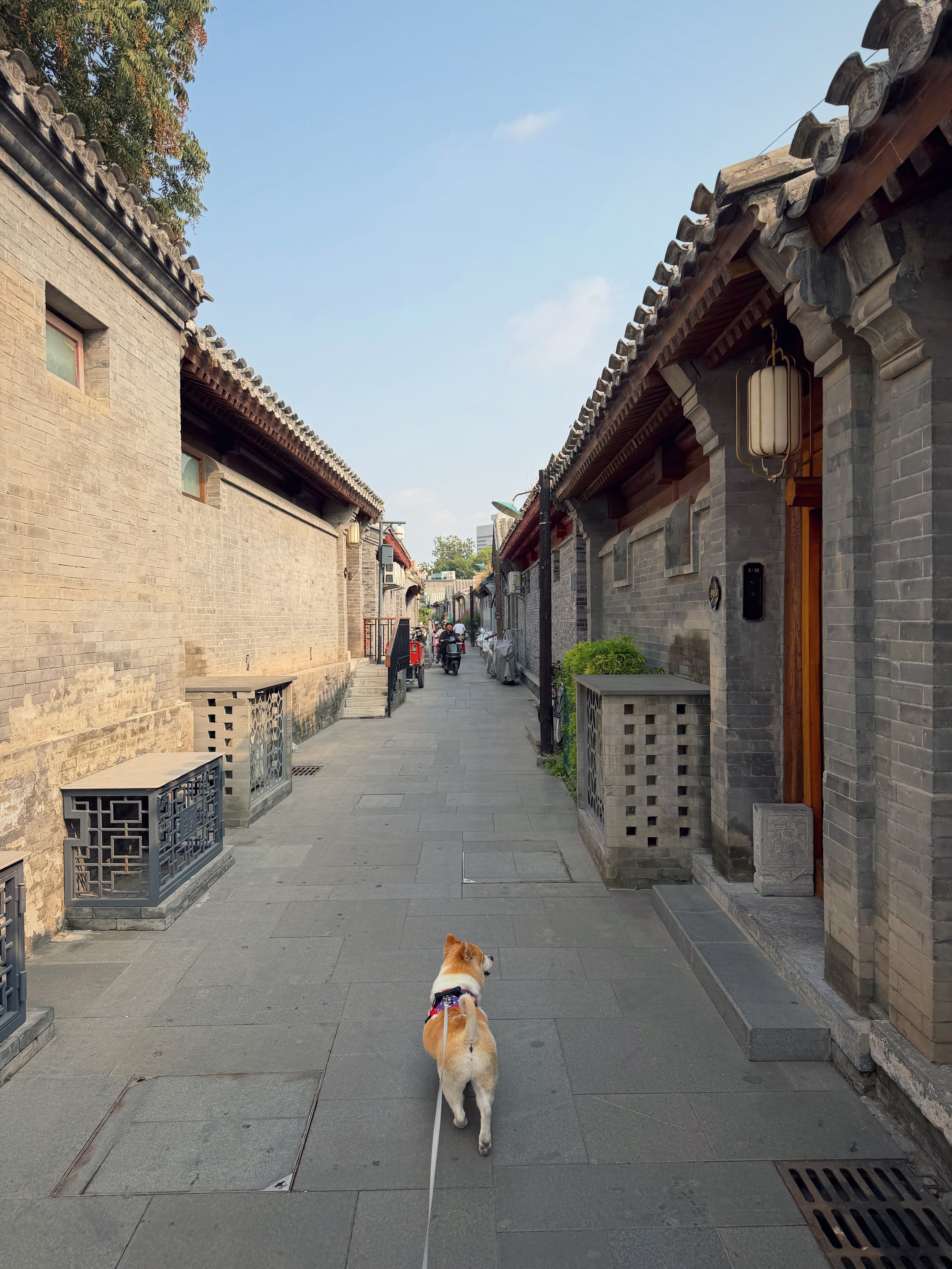 我们住在北京前门的胡同里，这应该是北京最贵的酒店了，死贵死贵的，仍然是依蔻庭承包