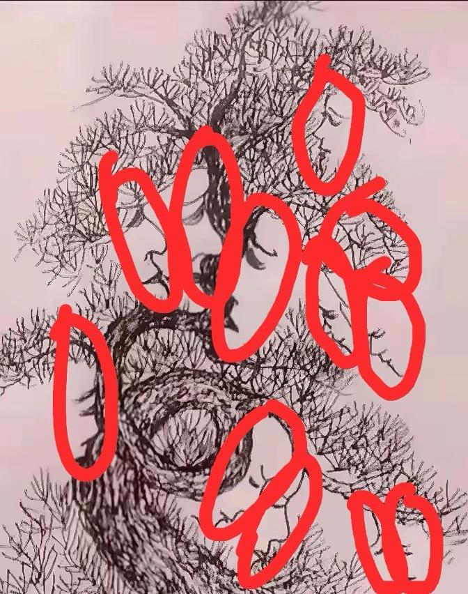 能看到12張人臉。
