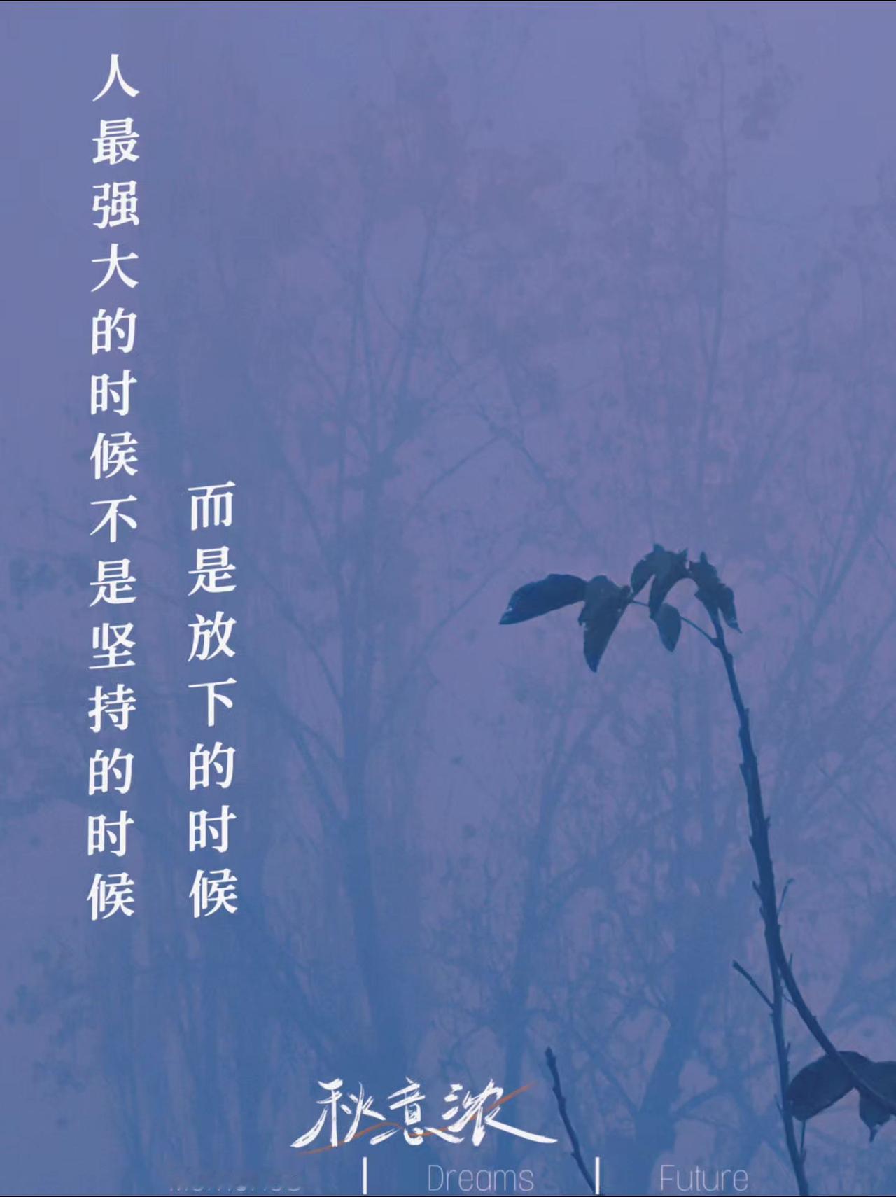 #静心看世界 人最强大的时候，不是坚持的时候，而是放下的时候。