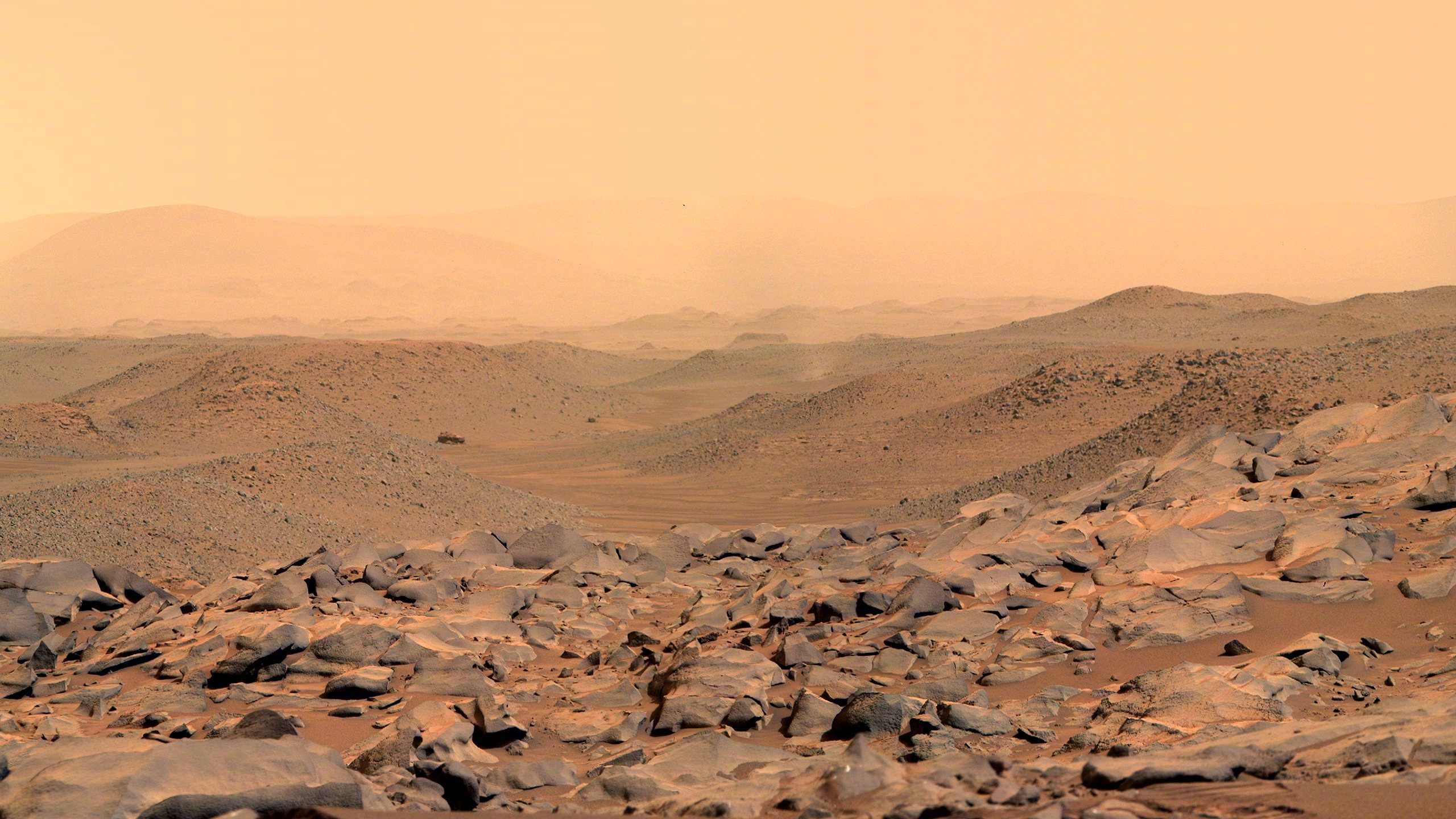 火星岩石，2024年4月9日由毅力号拍摄的3张照片拼接而成。图源Paul Byr
