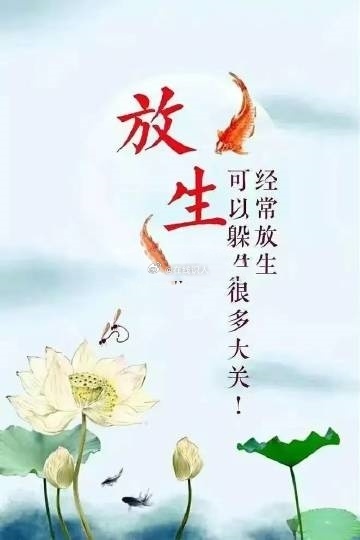 放生福报深重，能转恶缘为顺缘，福德所感，处处遇善缘。诸功德中，放生为首；救他性命
