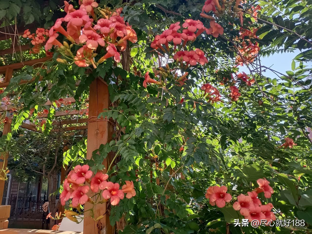 妈妈以前还什么都能干的时候，比较爱吃水饺和面条，以前和妈妈干的最多就是一起包饺子