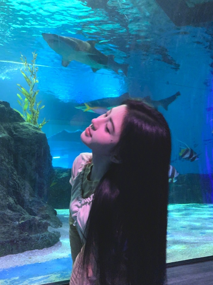 鞠婧祎水族馆随拍 长发垂落肩头，眼神里满是温柔，水族馆里的灵动少女太让人心动 鞠