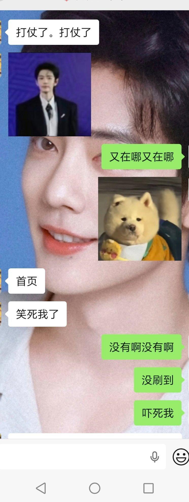 我这几天活成了那个发抖的蟑螂