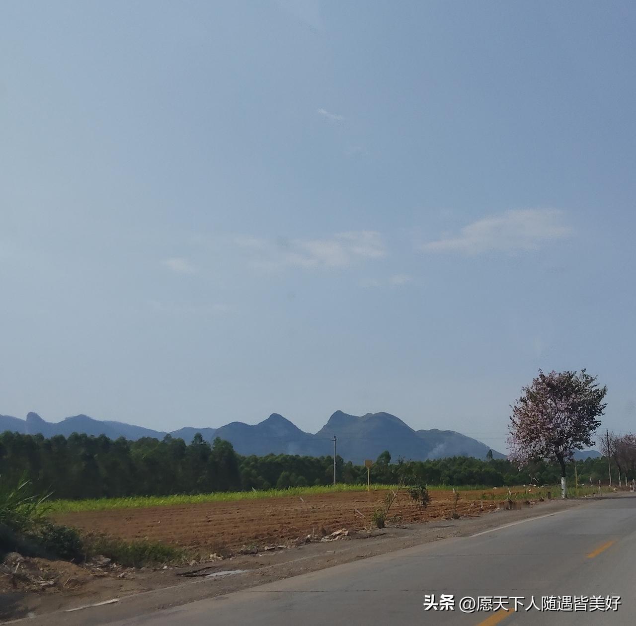 你能接受有腋毛的人穿无袖衣／裙吗？上个星期天我在公交车上看到一位穿无袖裙的美女，