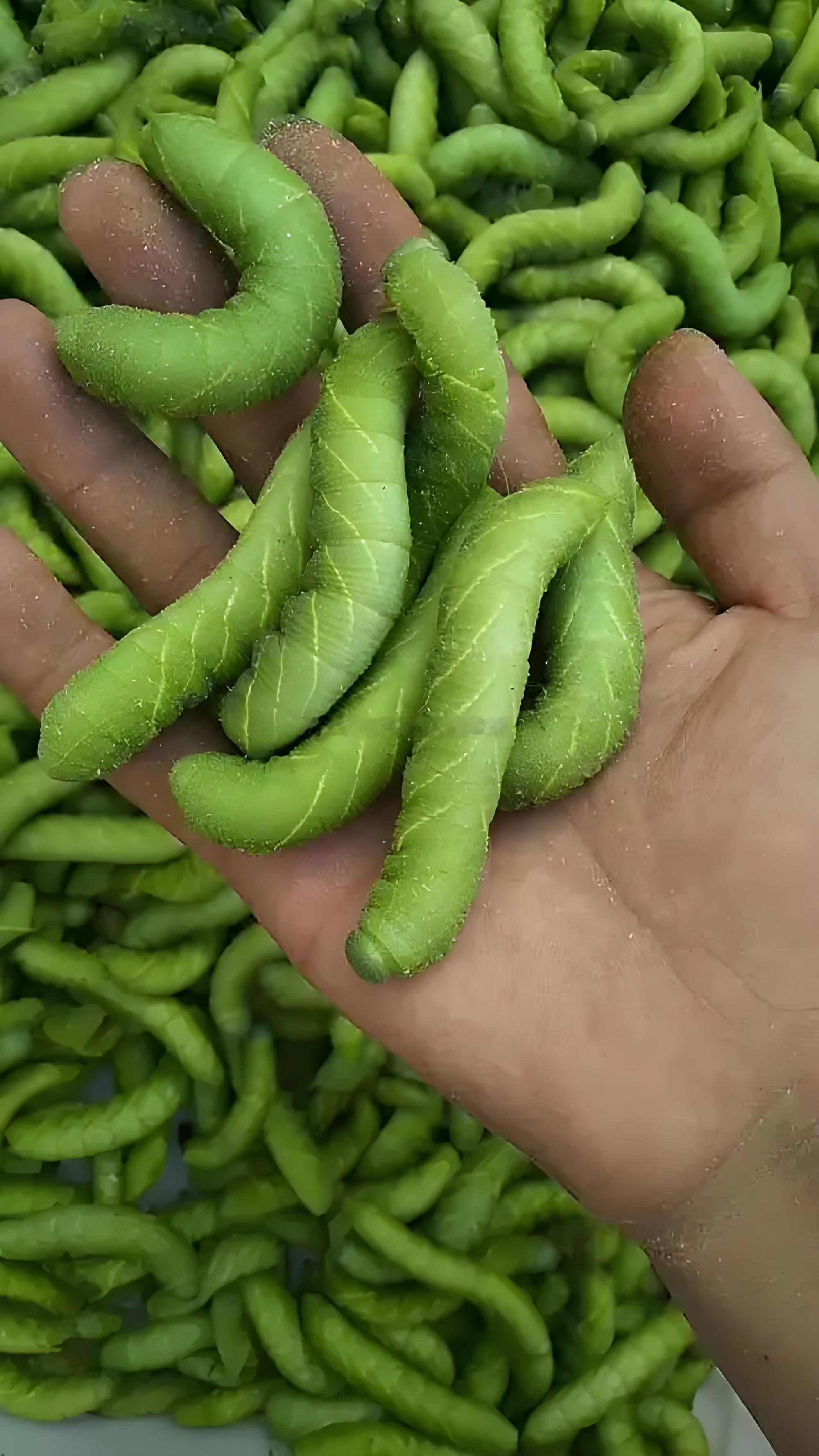 各位，夜宵愉快。某北京富婆爱吃的豆丹 ​​​