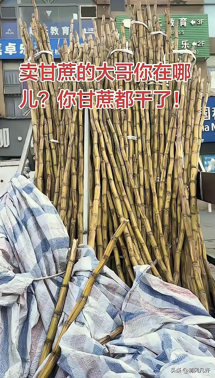 太暖心了，四川，一男子发现，楼下常年摆摊卖甘蔗的大哥从过年之后就没出摊了，路边三