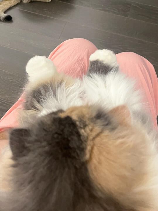 偷偷闻了几百遍才舍得发出来