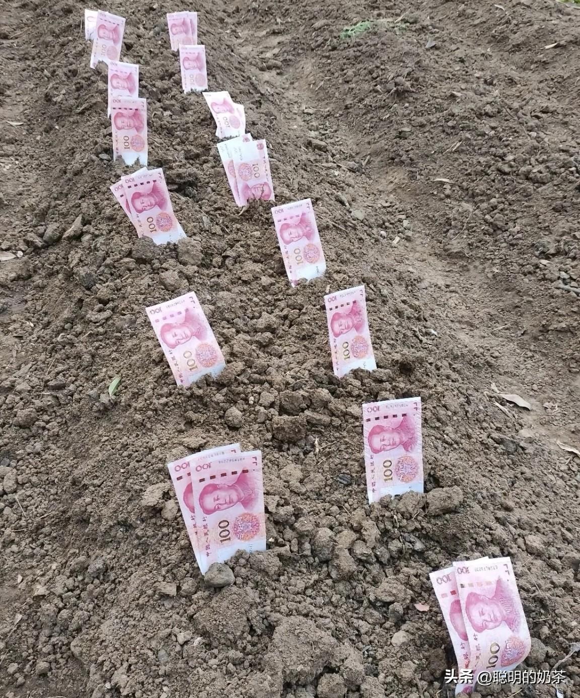 挖个坑，埋点儿土。数个一二三四五，自己的土，自己的地种啥都长人民币！希望来年有个