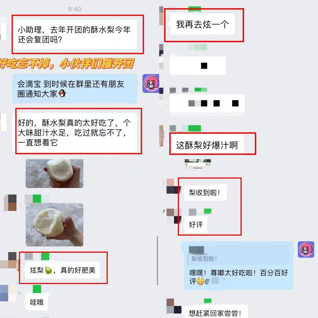 这个陕西酥水梨🍐每年都有粉丝催开团，说它是我吃过最好吃的梨也不为过！粉丝评价：