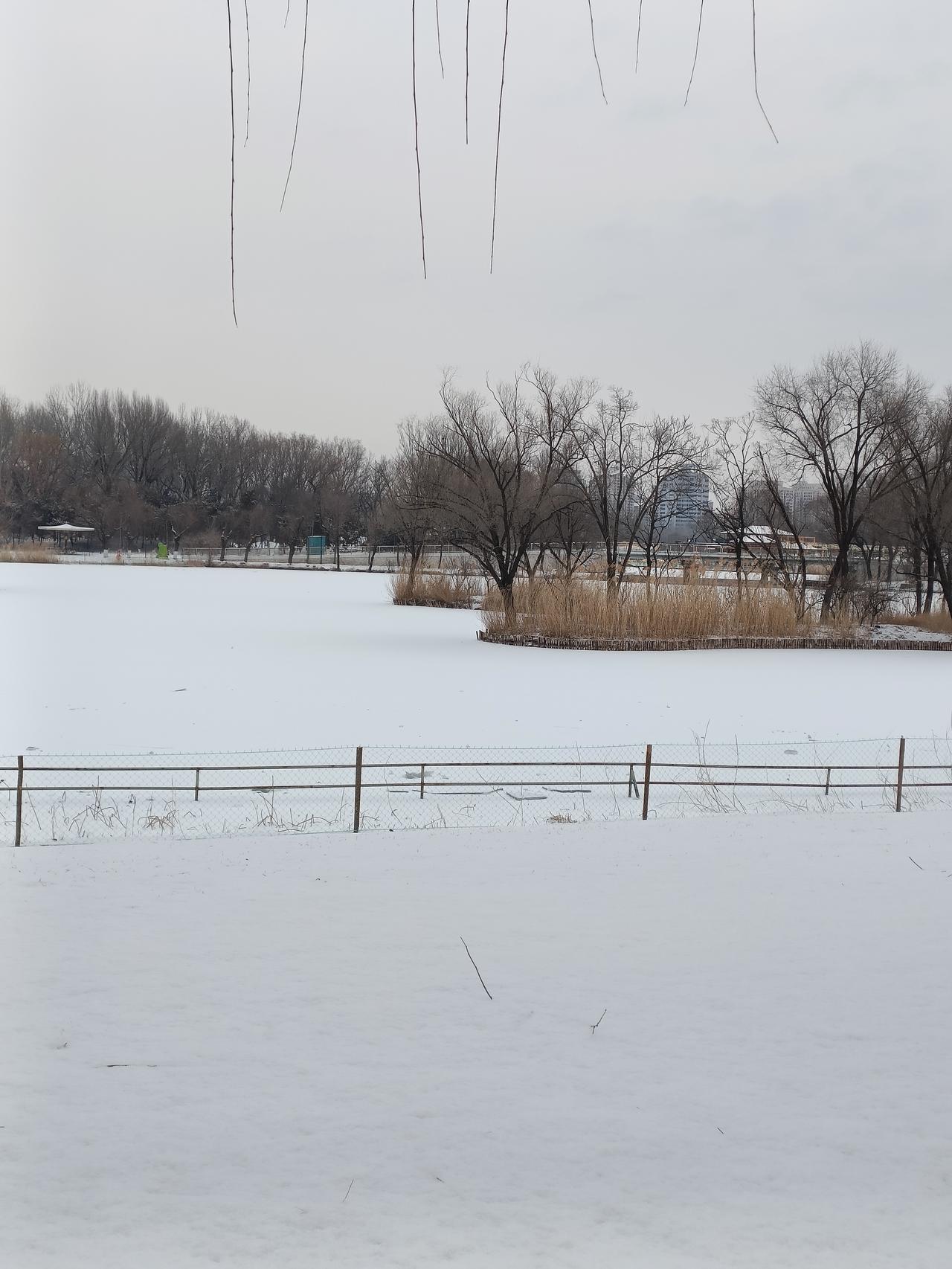 上当受骗的原因多种多样，你能想象出现在明星们都参与了网课推广Al视频赚钱，带货赚