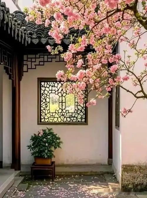 《春景四首·其四》
——清·朱晓琴
高烧画烛一灯红，
夜膳无非果酒菘。
一醉不知