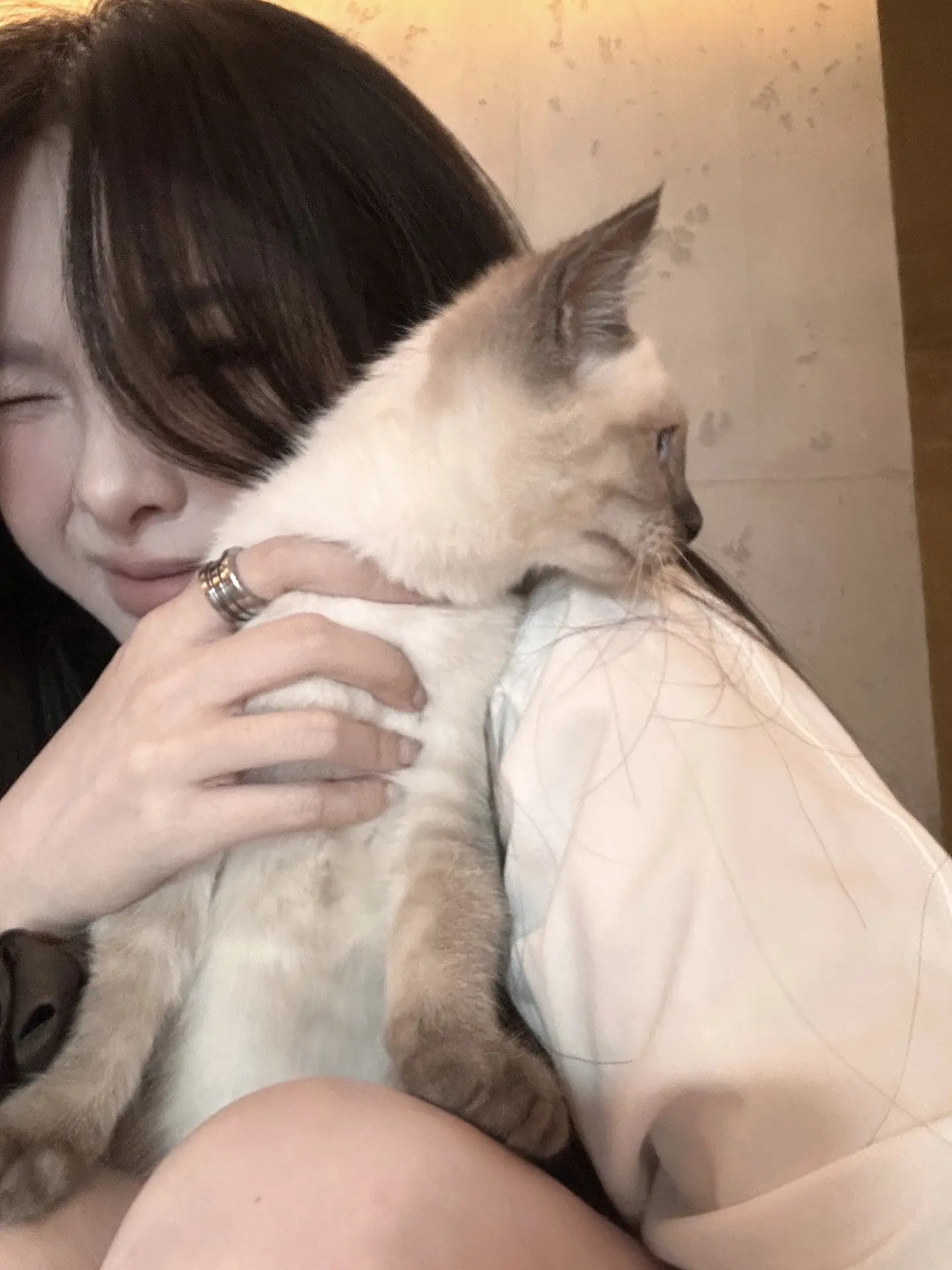 用最爱的歌分享最近