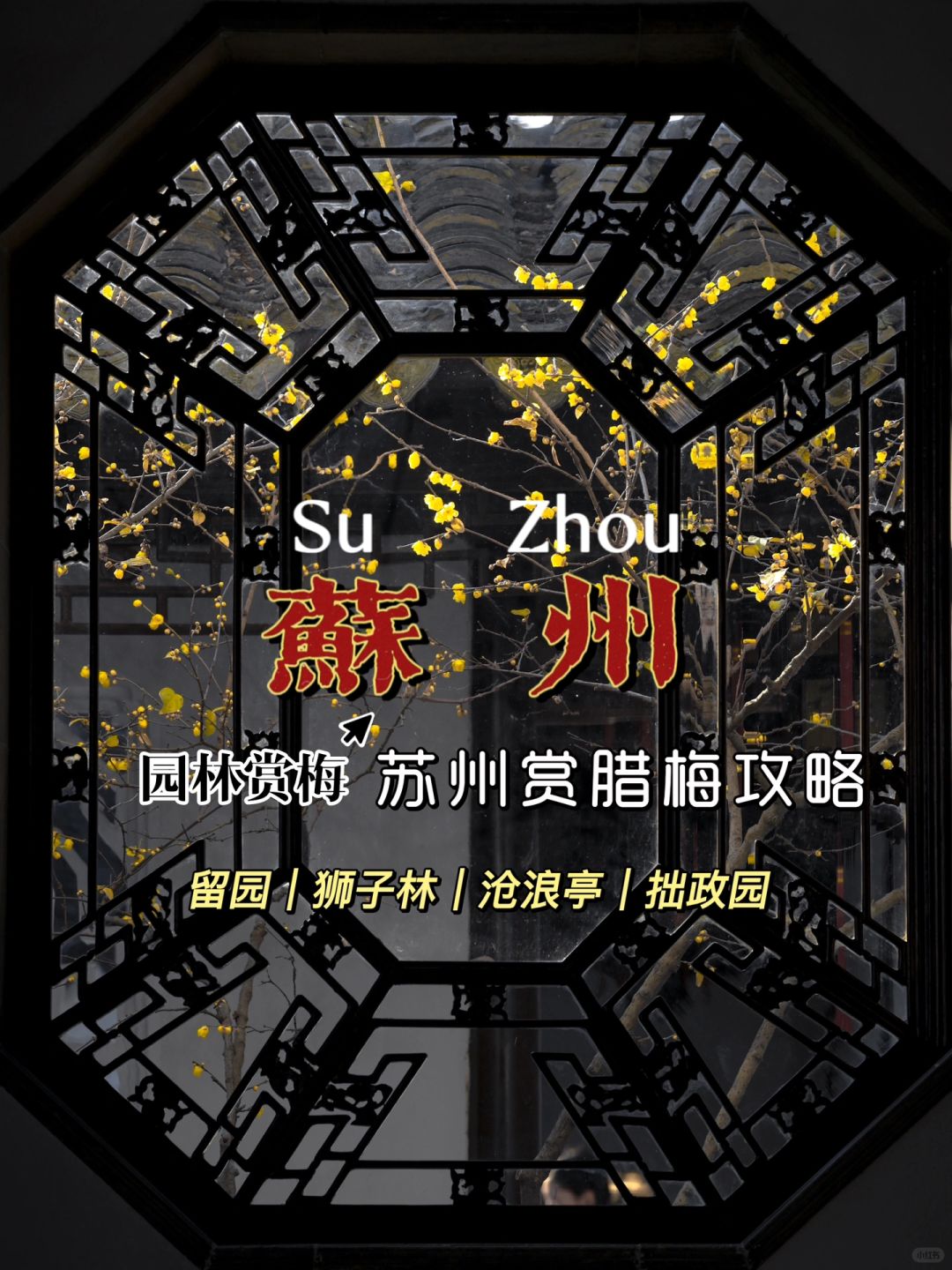 请立即收下‼️这份1️⃣月苏州赏梅超级攻略‼️