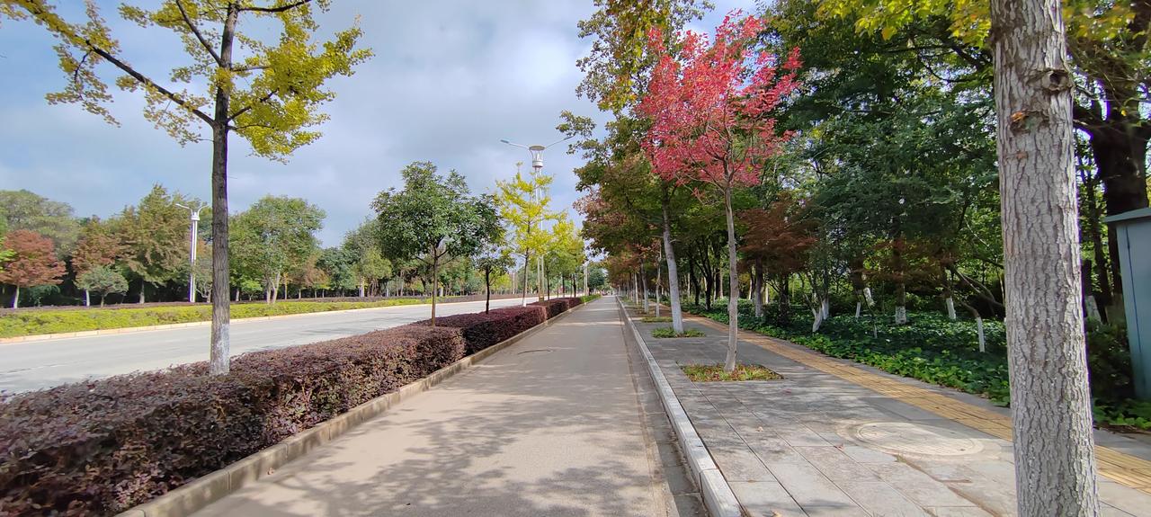 不要笑话老人家，我年轻时头发茂密，认为将来也不致于掉光，现在55岁，头发越多越少