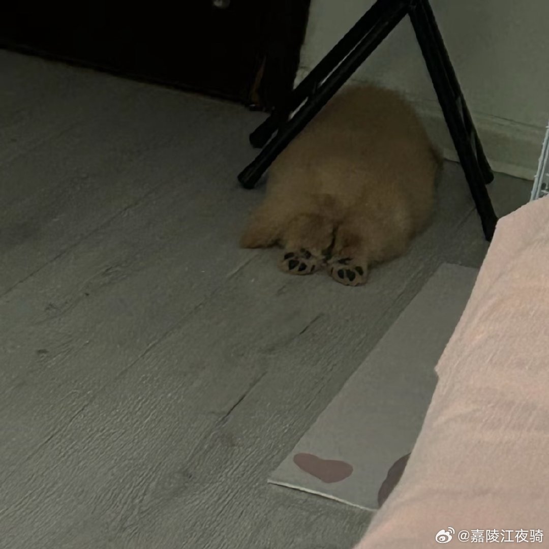 正面                        背面 