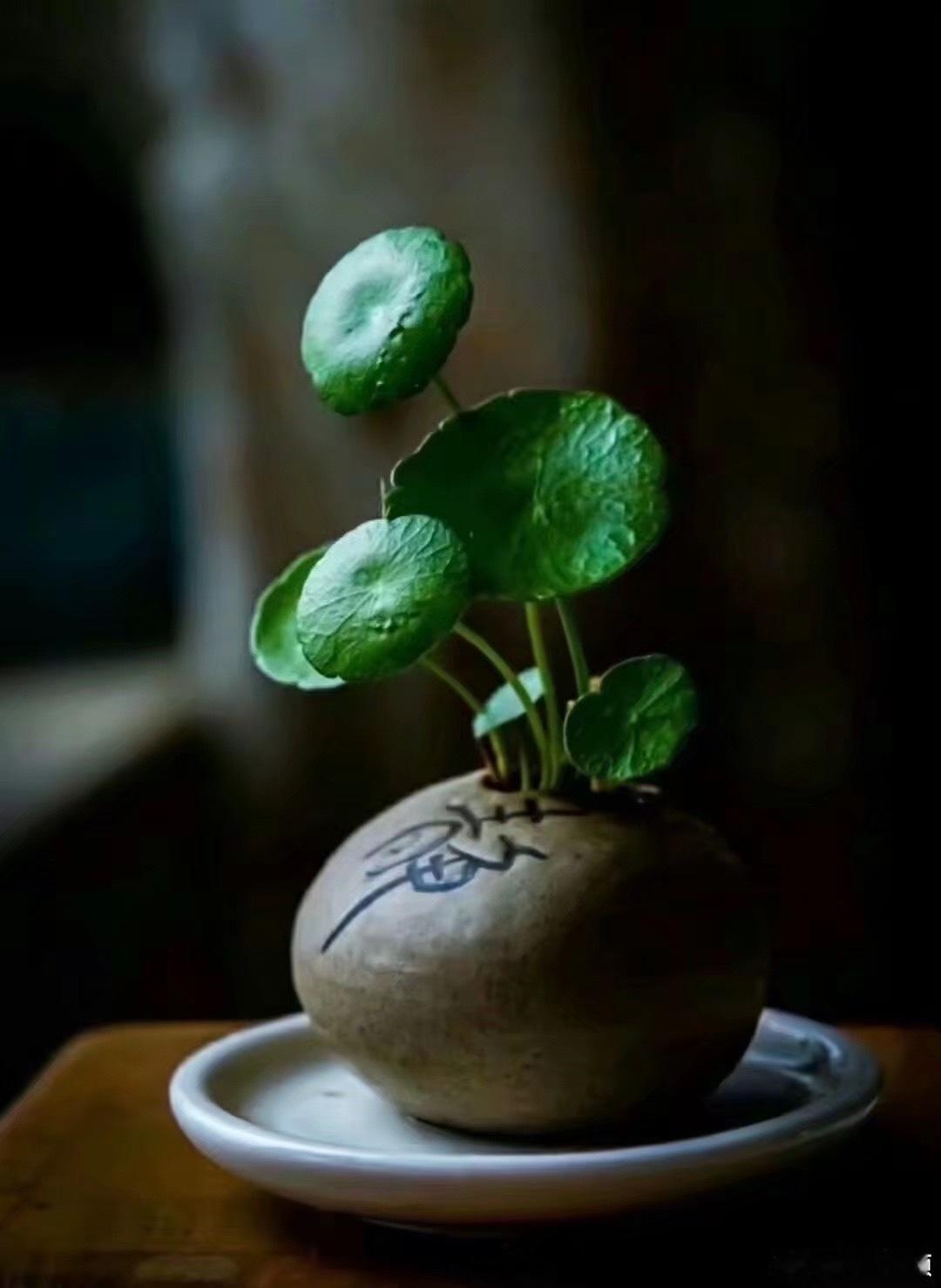 人与人之间的关系，一些看似很熟，很融恰的氛围，却也只局限于嘻嘻哈哈，谈笑风声中。