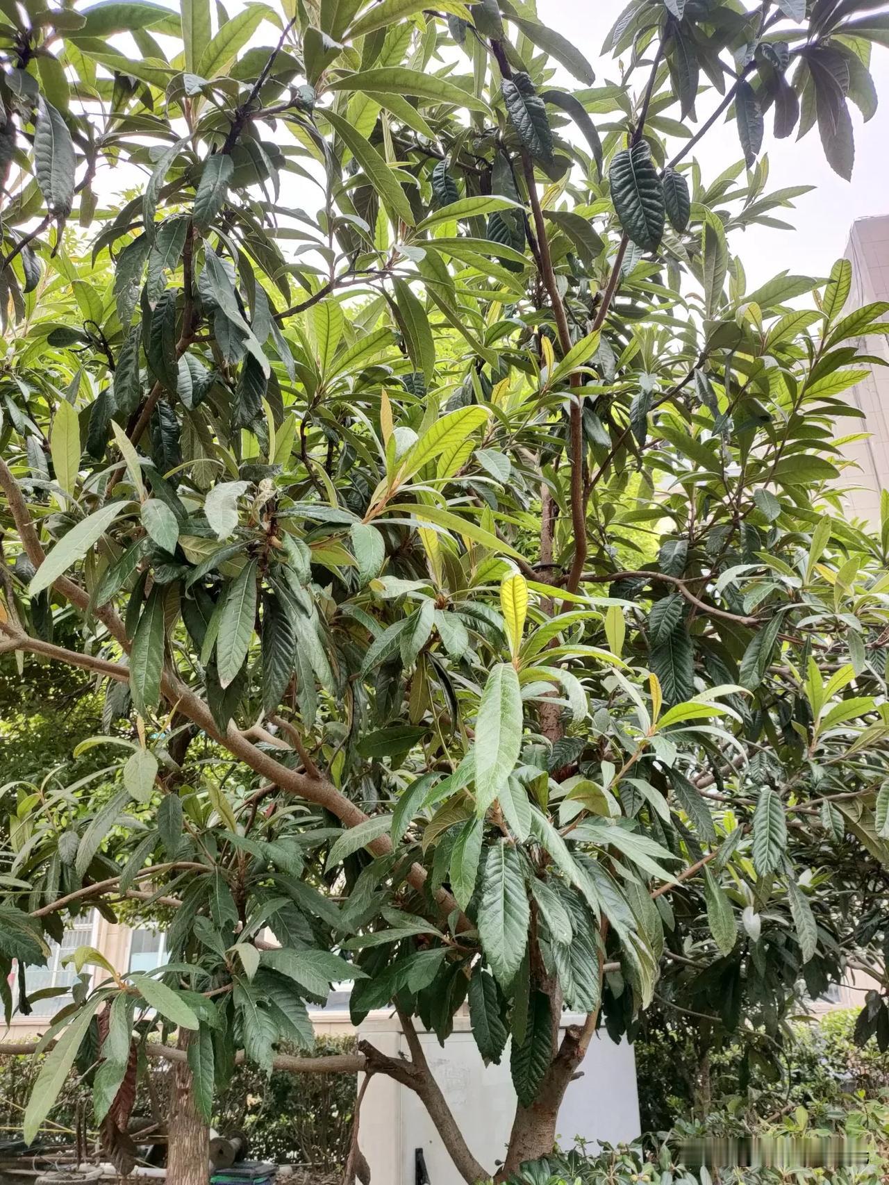 其实保持快乐特简单，不用搞那些复杂的大道理。
 
首先别跟自己较劲，比如没完成的