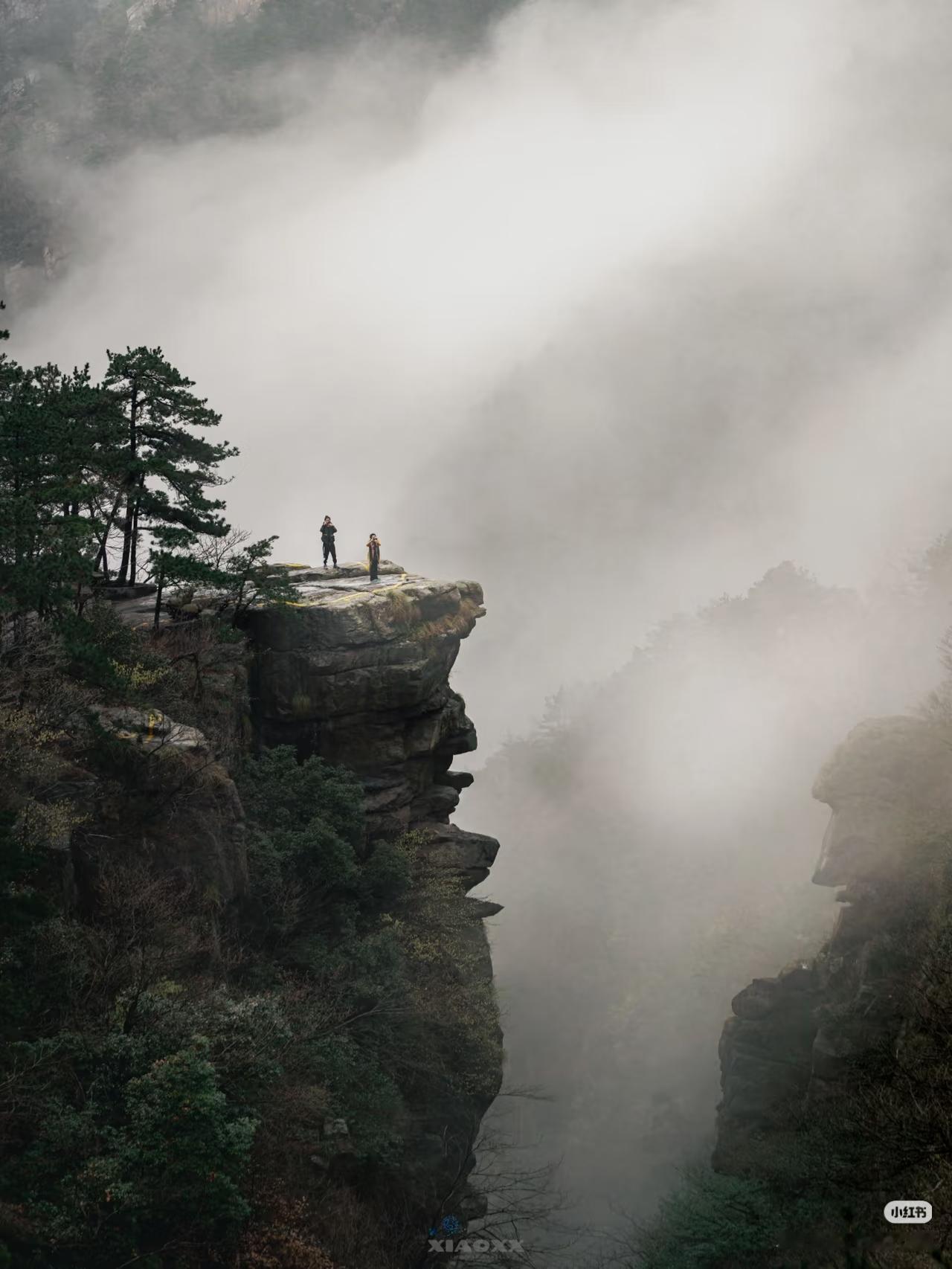 “千年浔阳郡 百年庐山风”

夏季来庐山，就是奔着那22℃的清凉去的吧！这里为你