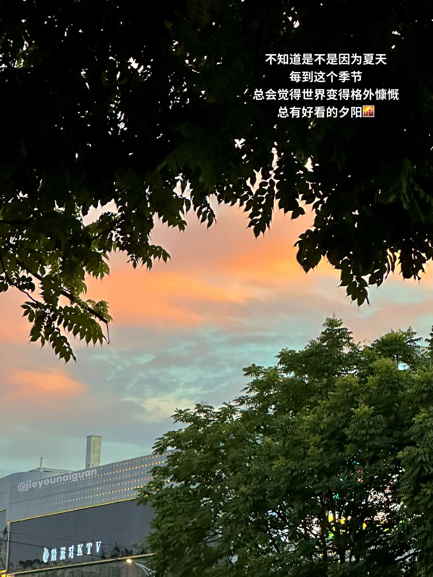幸福的秘诀是拥有苹果时只在意苹果我们常常会顾眺望别处，看不见自己已然拥有的东西，