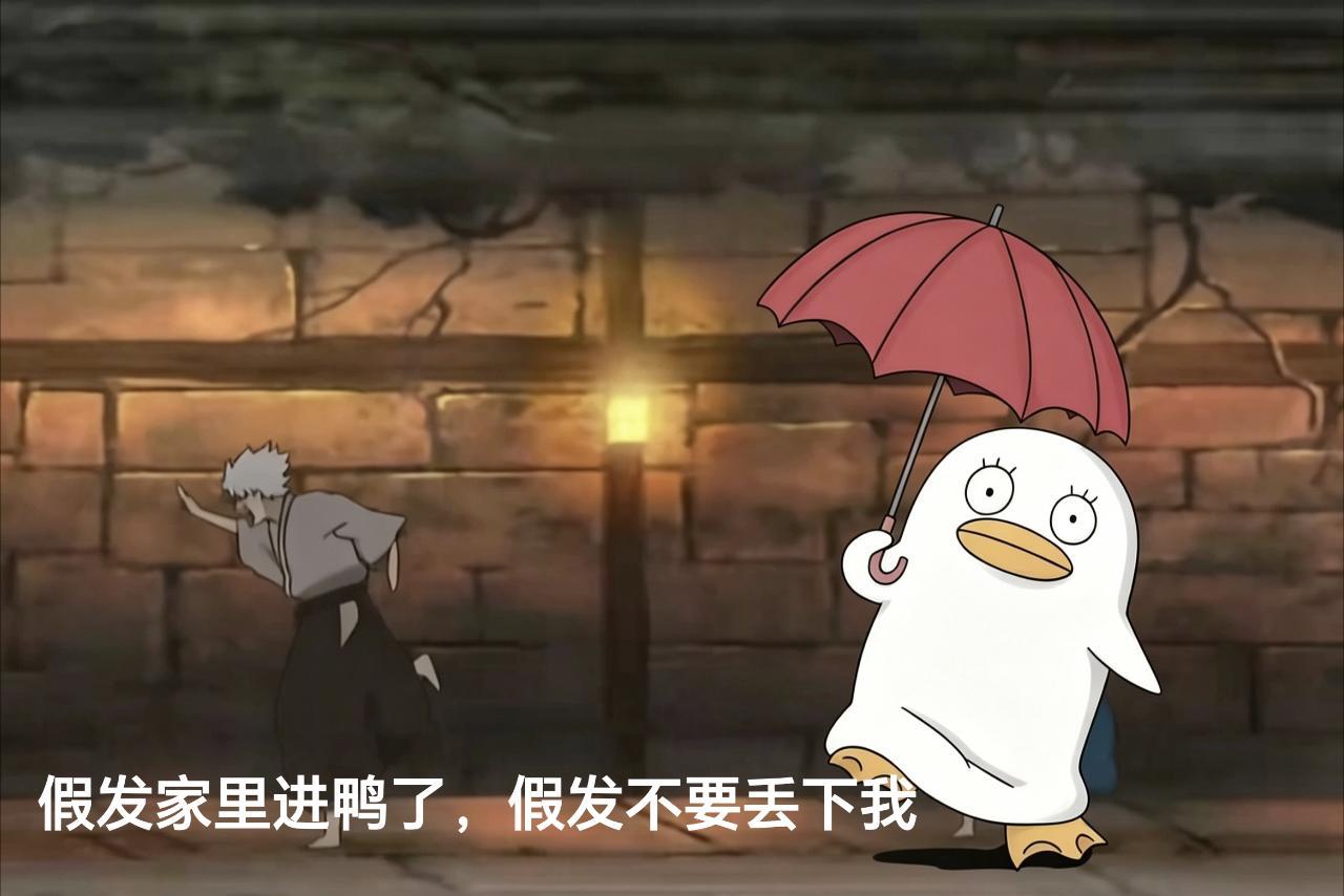 4940【】紫拉你在哪里 