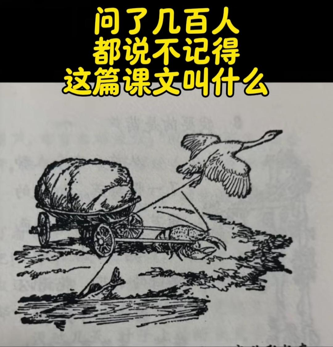 “童年回忆！还记得这篇课文吗？”📚🐦🚜小学的课文你还记得吗？