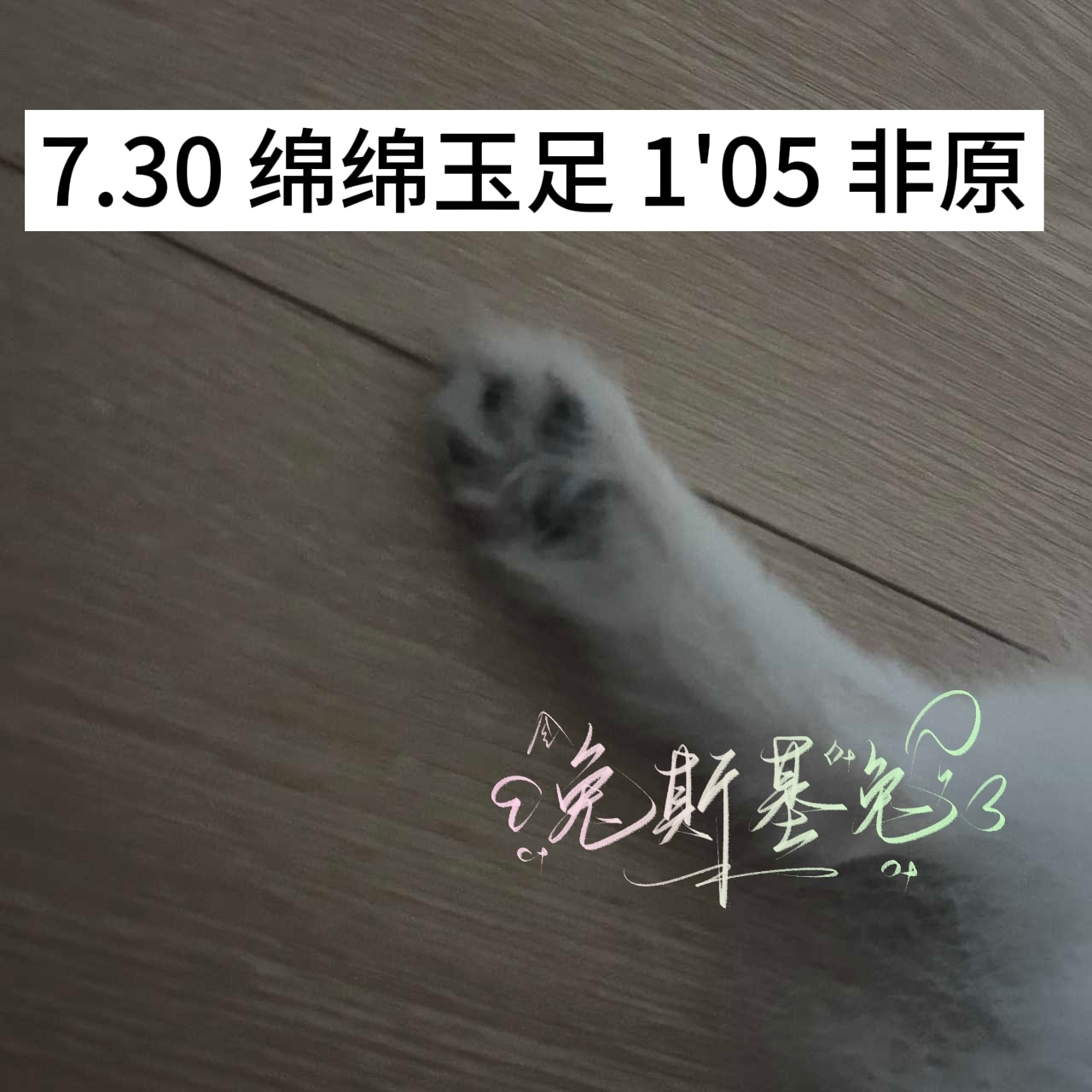 分享图片 