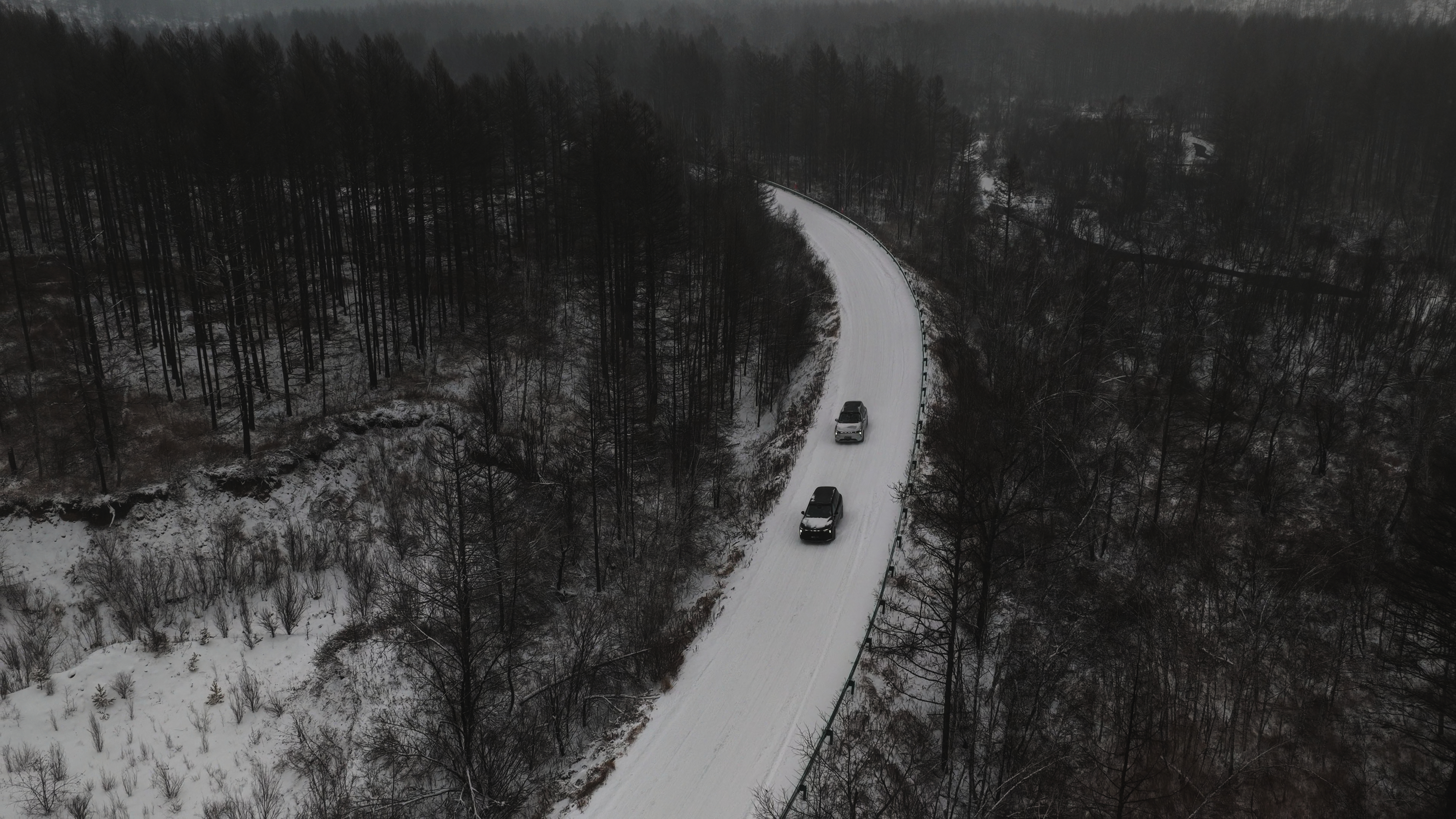 今天特别幸运的赶上了呼伦贝尔的第一场大雪。车辙和脚印都是新的，我们不经意成为了广