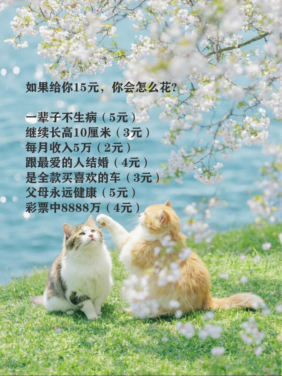 如果给你15元，你好怎么花?
一辈子不生病（5元）
继续长高10厘米（3元）
每