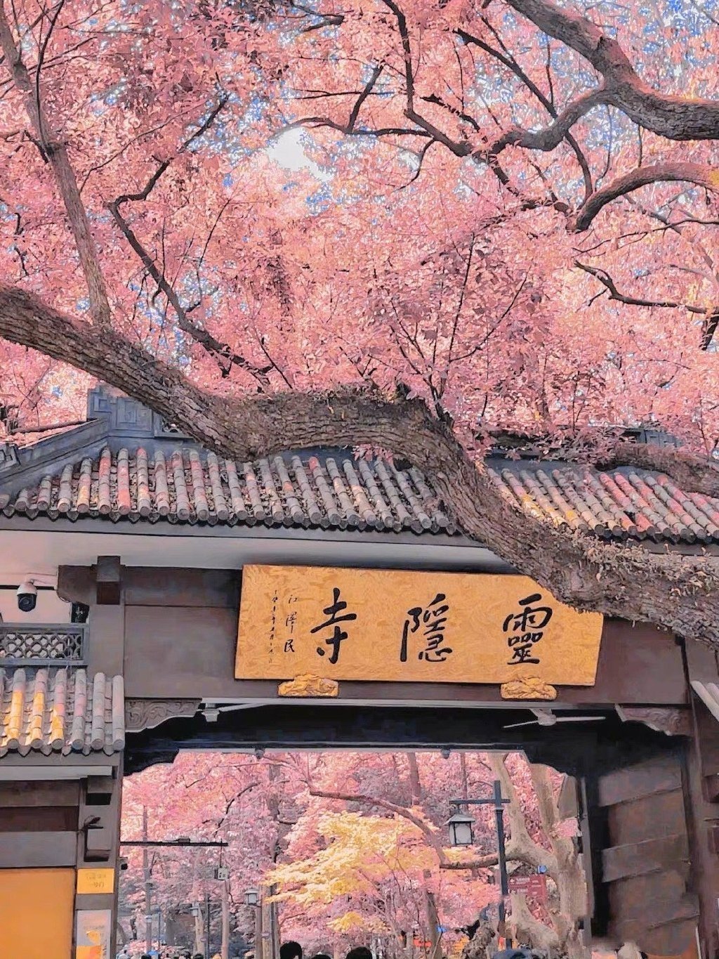 看到灵隐寺不要无视，真的很灵，逢考必过！ 