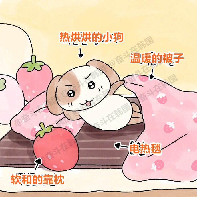 春节在家的梦中情床 海外新鲜事 热点现场