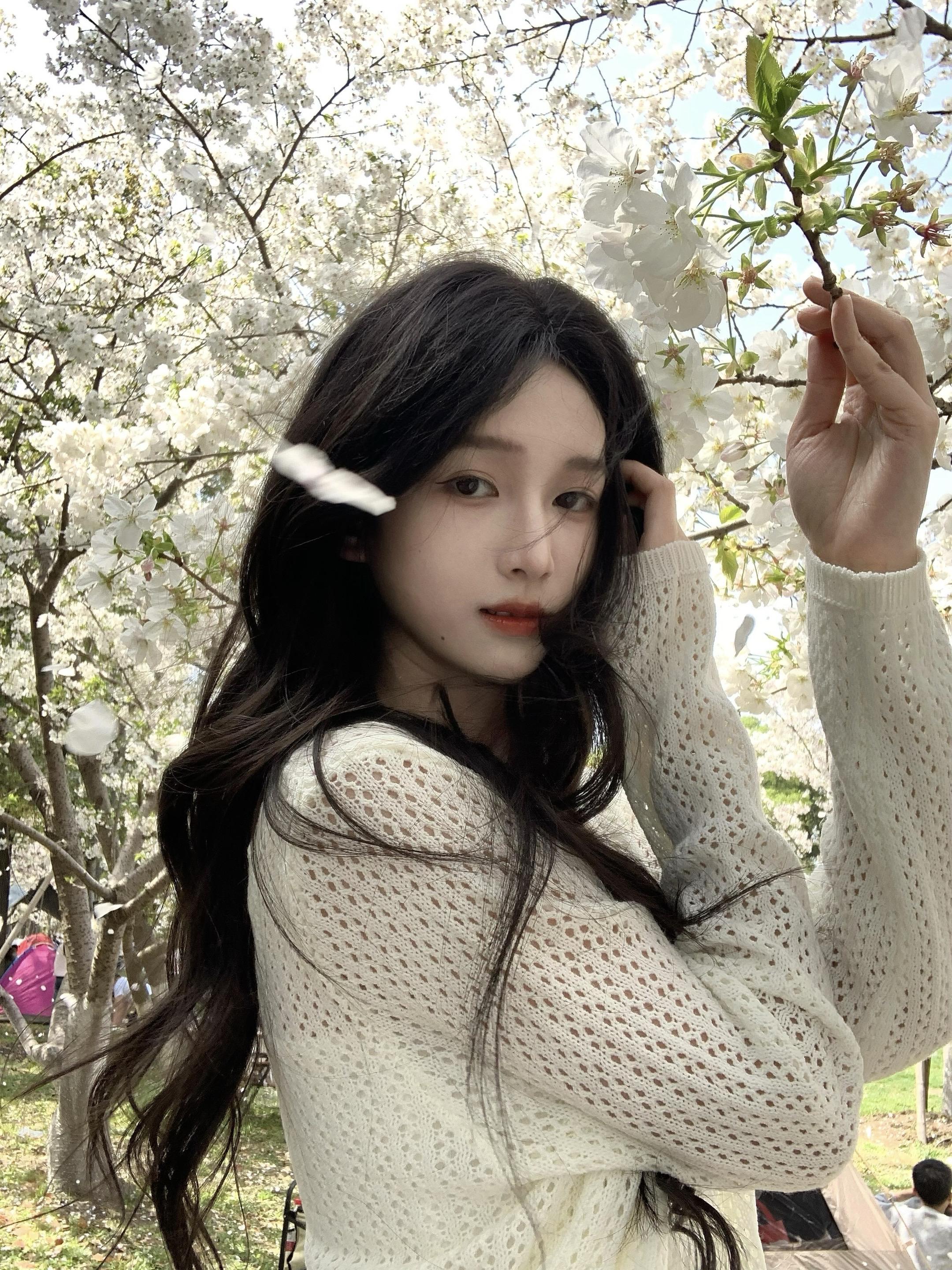 樱花树下 我是我的春天