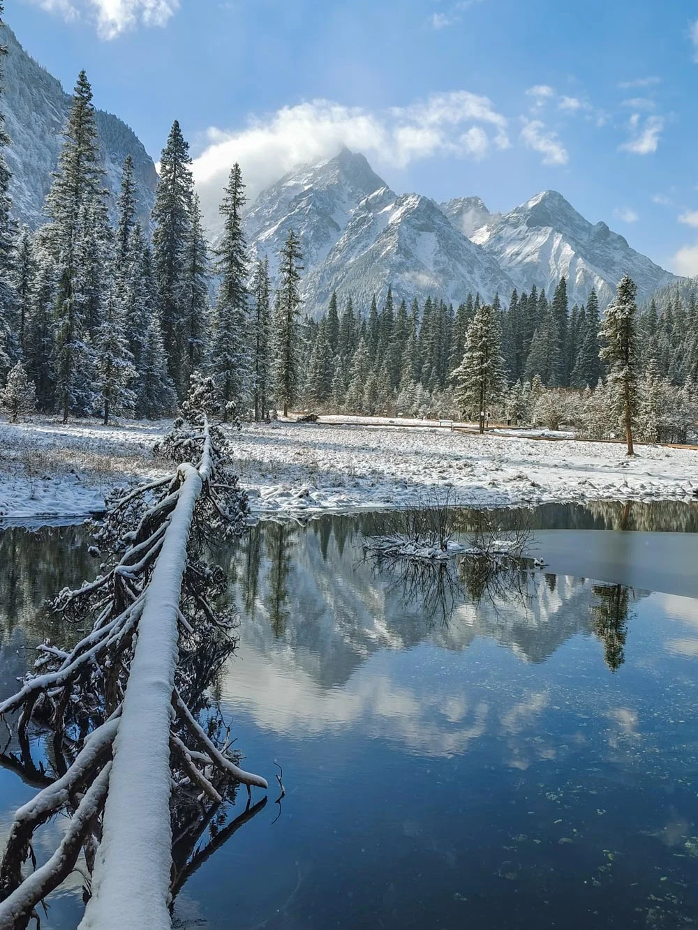 不是新疆❗️西安出发2h抵达超美冬日秘境