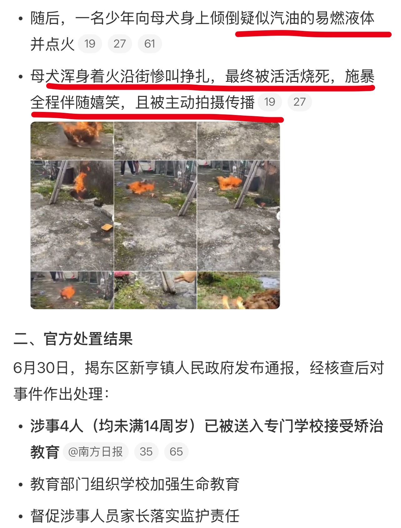“母犬浑身着火沿街惨叫挣扎，最终被活活烧死，施暴全程伴随嬉笑，且被主动拍摄传播”
