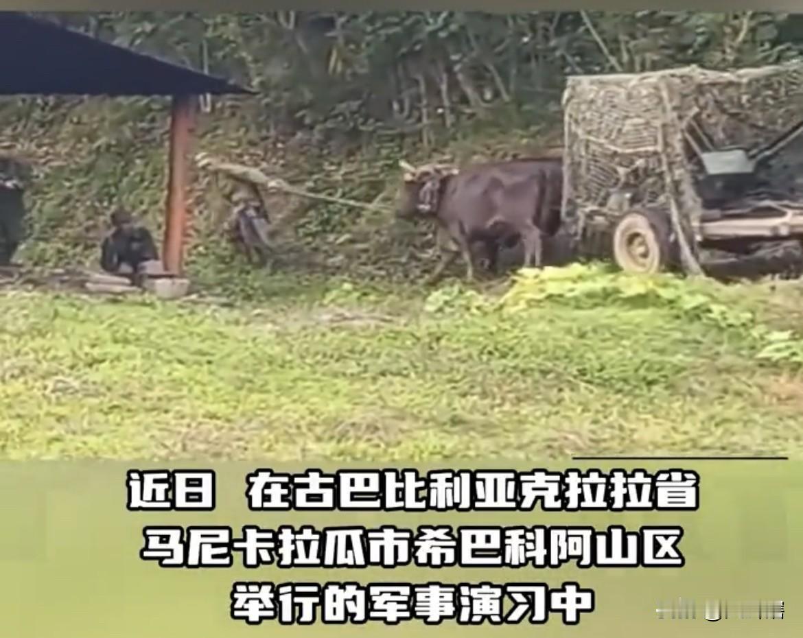 古巴军演有点寒酸呀！
据俄罗斯媒体消息，古巴近期在比利亚克拉拉省山区举行了一场军