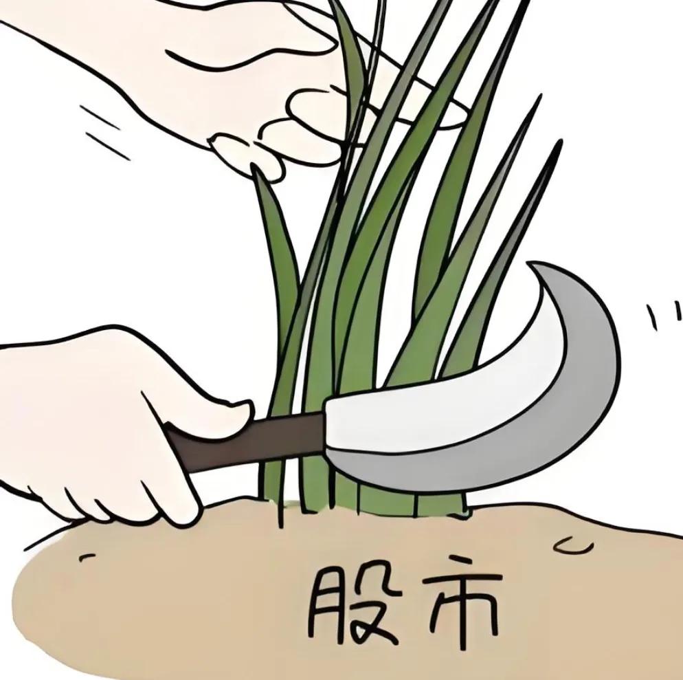 #经济学家：股市涨了也不要过于乐观#笑死我了，政策发力不能解决根本问题，主要是市