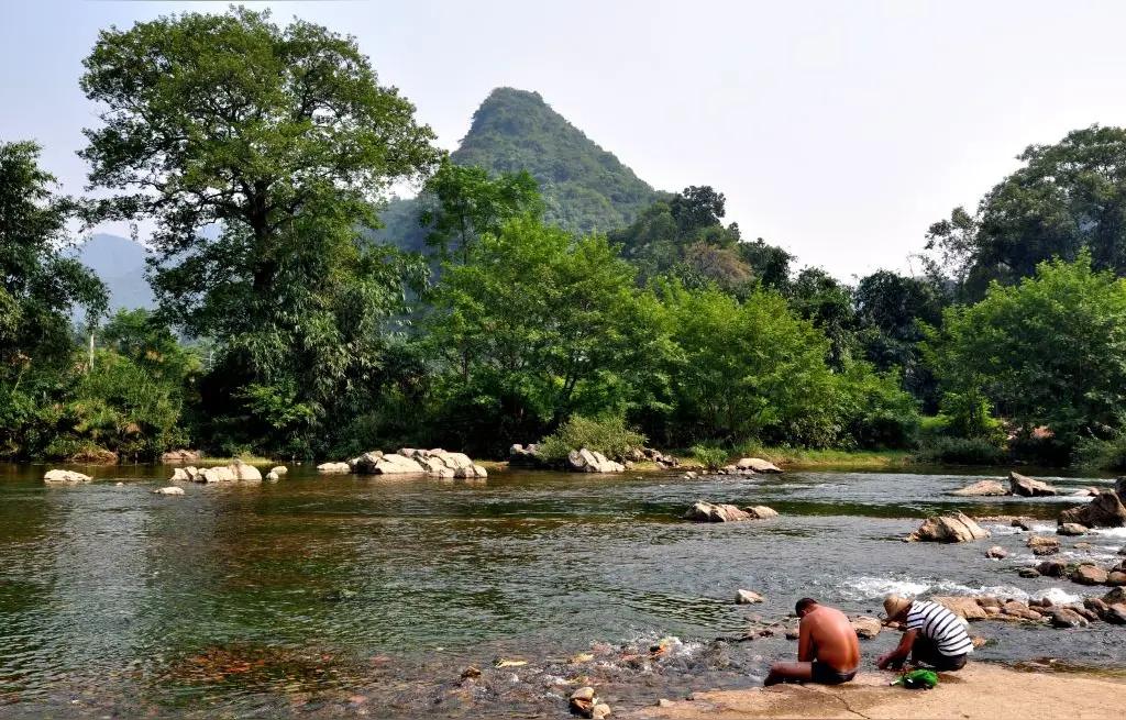 【杀鸭请小鱼当“拔毛工”：看似图一乐，实则藏着中国乡村的生态密码】昨天（2月14