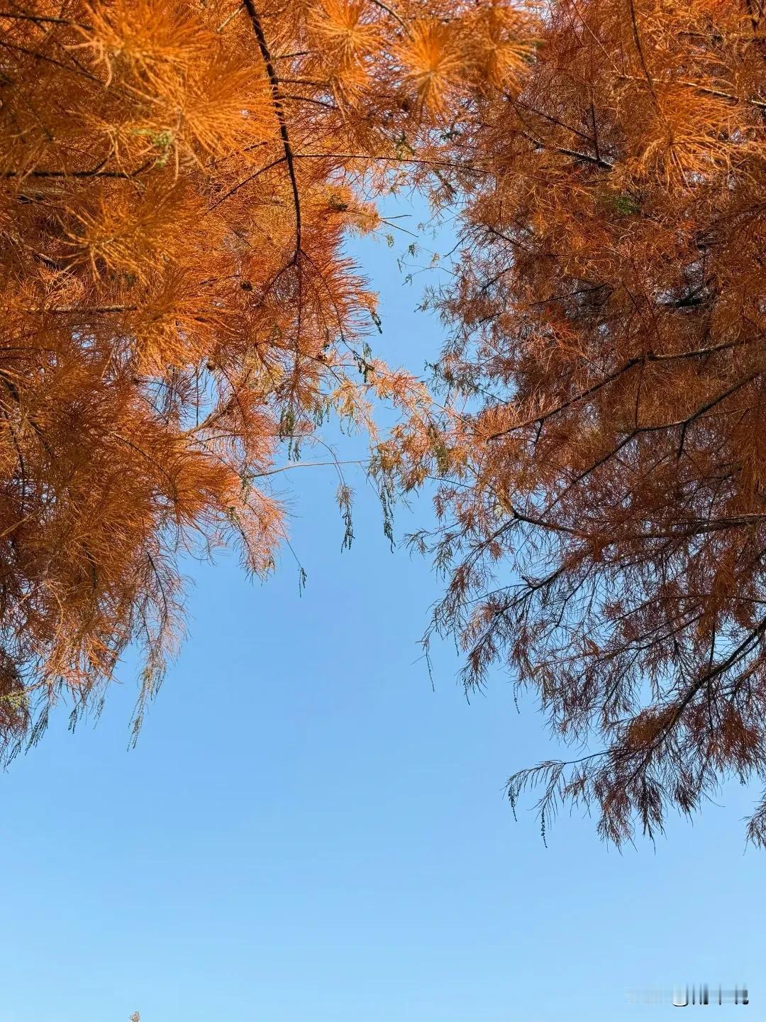 2026年的自己，我想对你说：
愿你依旧有敢闯的勇气，也有能歇的底气。
遇到喜欢