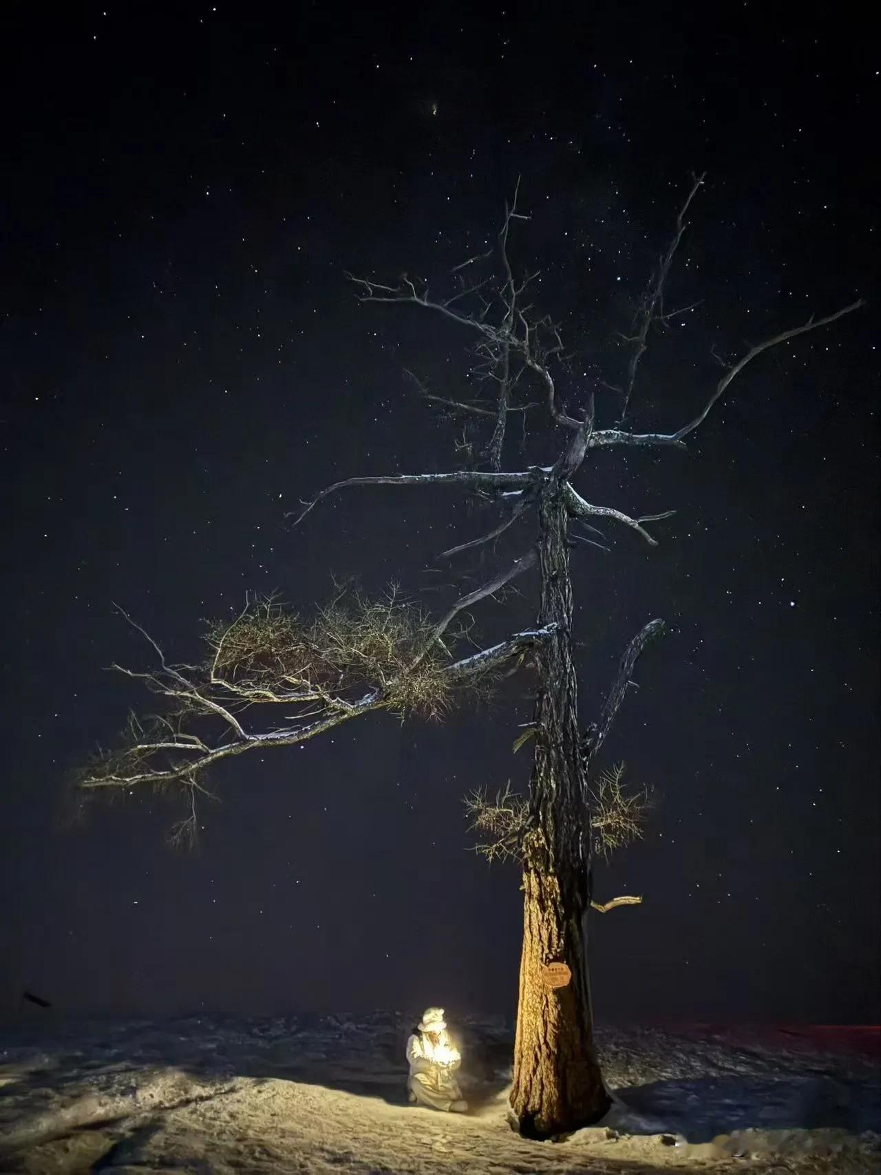 越野双湖
它伫立在那里
仿佛在等有人赴它一面之约
❣️白哈巴｜孤独的树·12月2