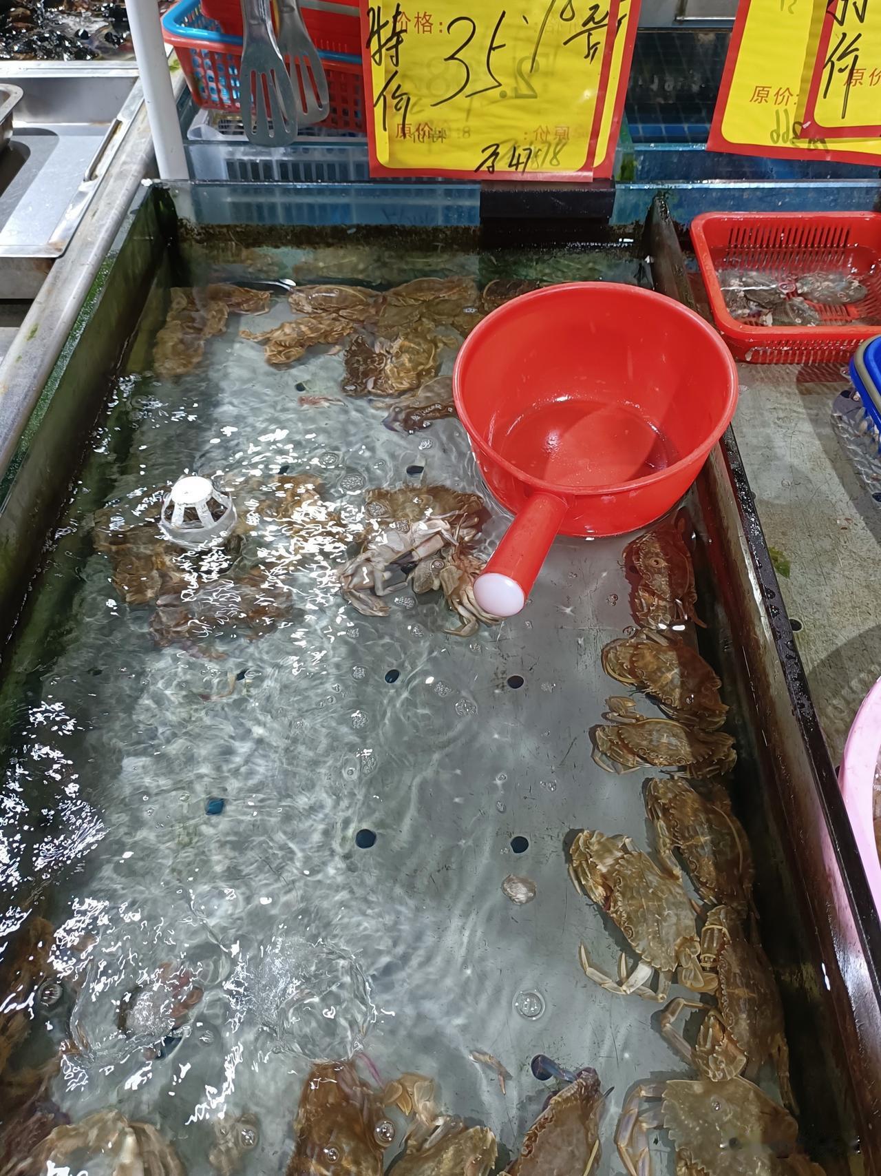 张邦昌伪楚政权：短暂的傀儡闹剧
金兵攻破汴京后，扶植张邦昌为 “楚帝”。张邦昌北