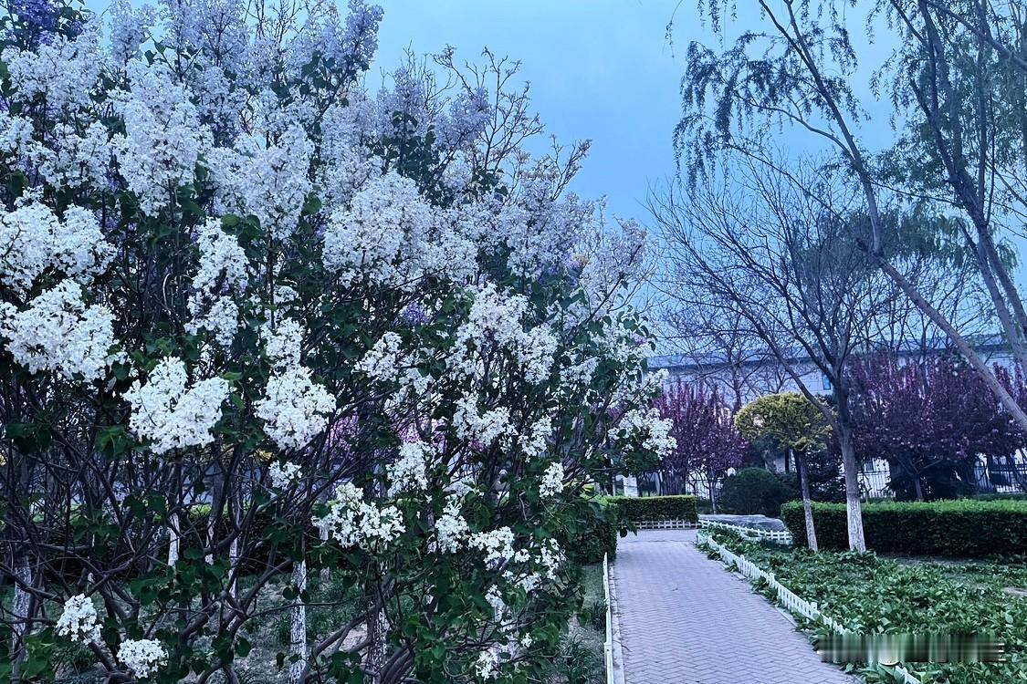 人活着，拼到最后，拼的不是钱多钱少，而是良心和人品。有钱未必幸福，没钱可以努力，