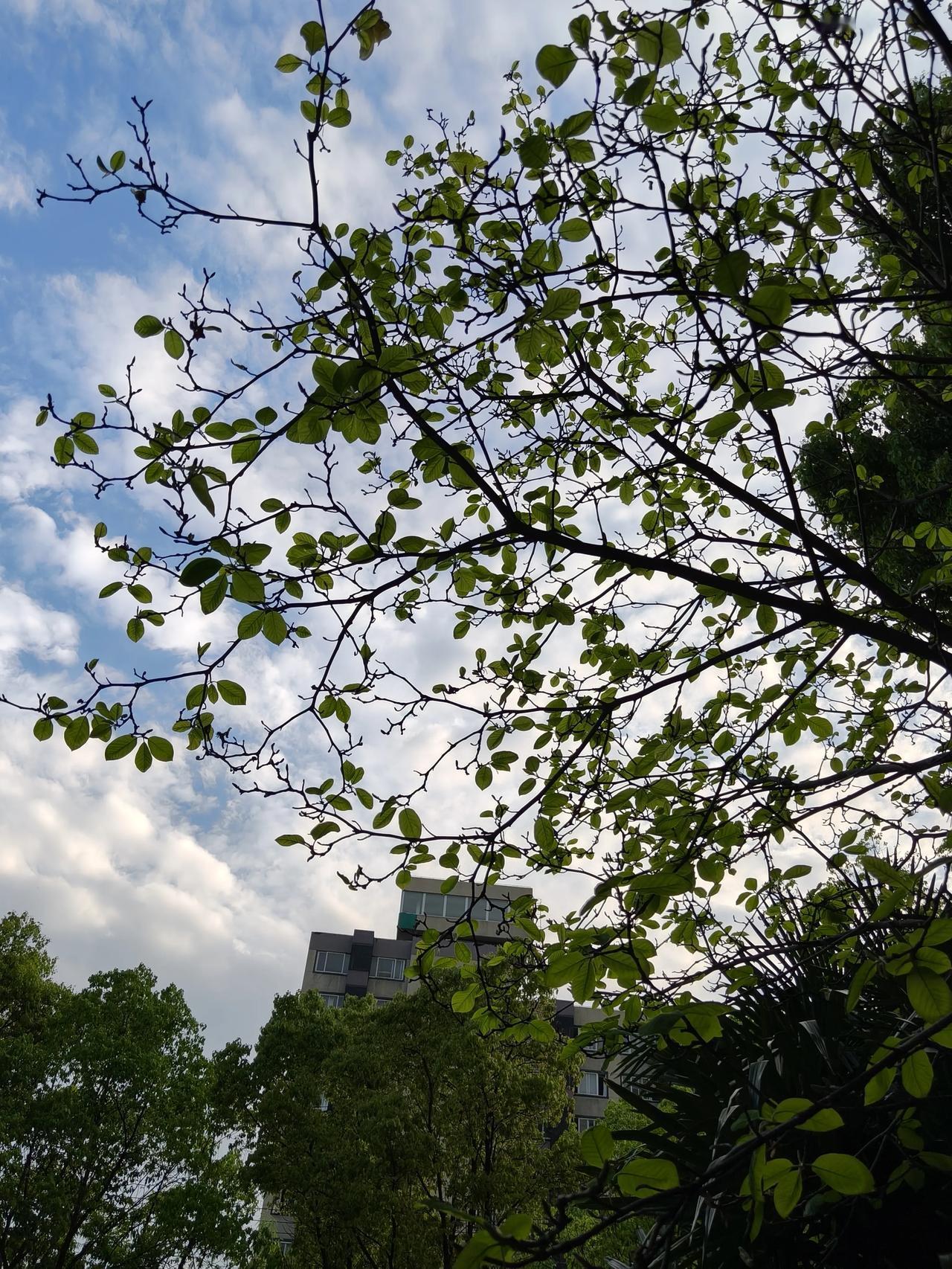 四月，是春末的酒，是夏初的晨 🍶🌅

四月是春天酝酿的一场盛大的告白，万物都